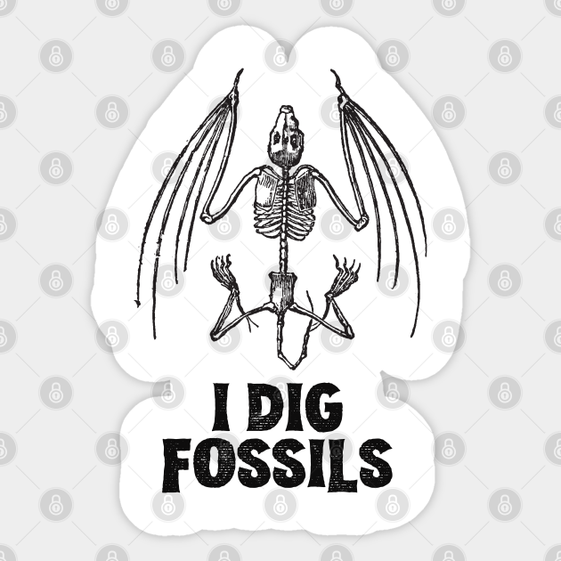 dig it fossils